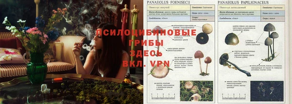 амф Лихославль