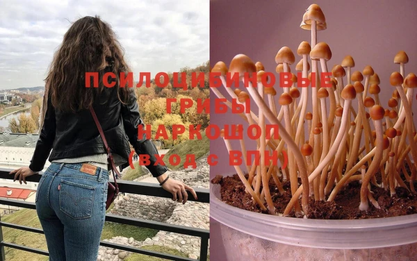 jwh Лиски