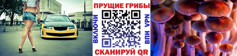 Галлюциногенные грибы прущие грибы  наркота  Почеп 